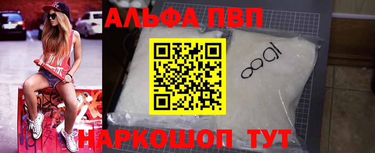 Alfa_PVP СК Нововоронеж