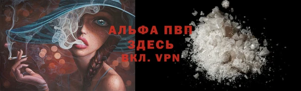 винт Коряжма