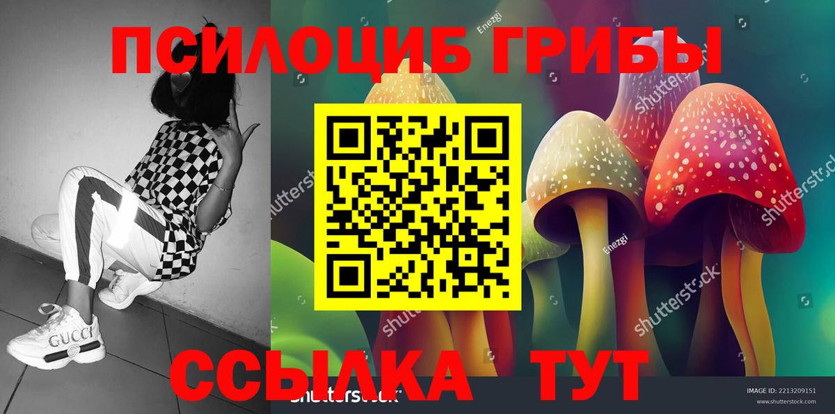 Псилоцибиновые грибы прущие грибы Нововоронеж