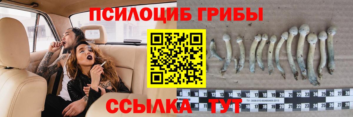 Псилоцибиновые грибы Magic Shrooms  Вход с VPN  Нововоронеж 